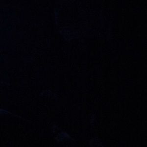 Meet your Posher, Cody